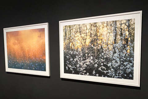 Ausstellung1