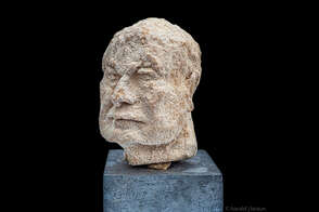 Harald J. Braun: Kristallin Head 1.2
