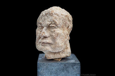 Harald J. Braun: Kristallin Head 1.2