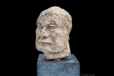 Harald J. Braun: Kristallin Head 1.2