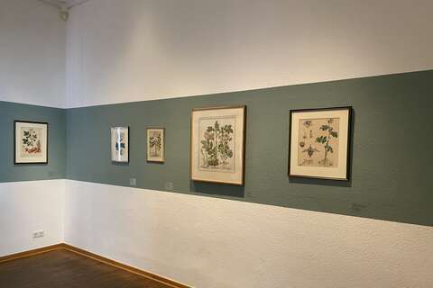Blick in die Ausstellung 